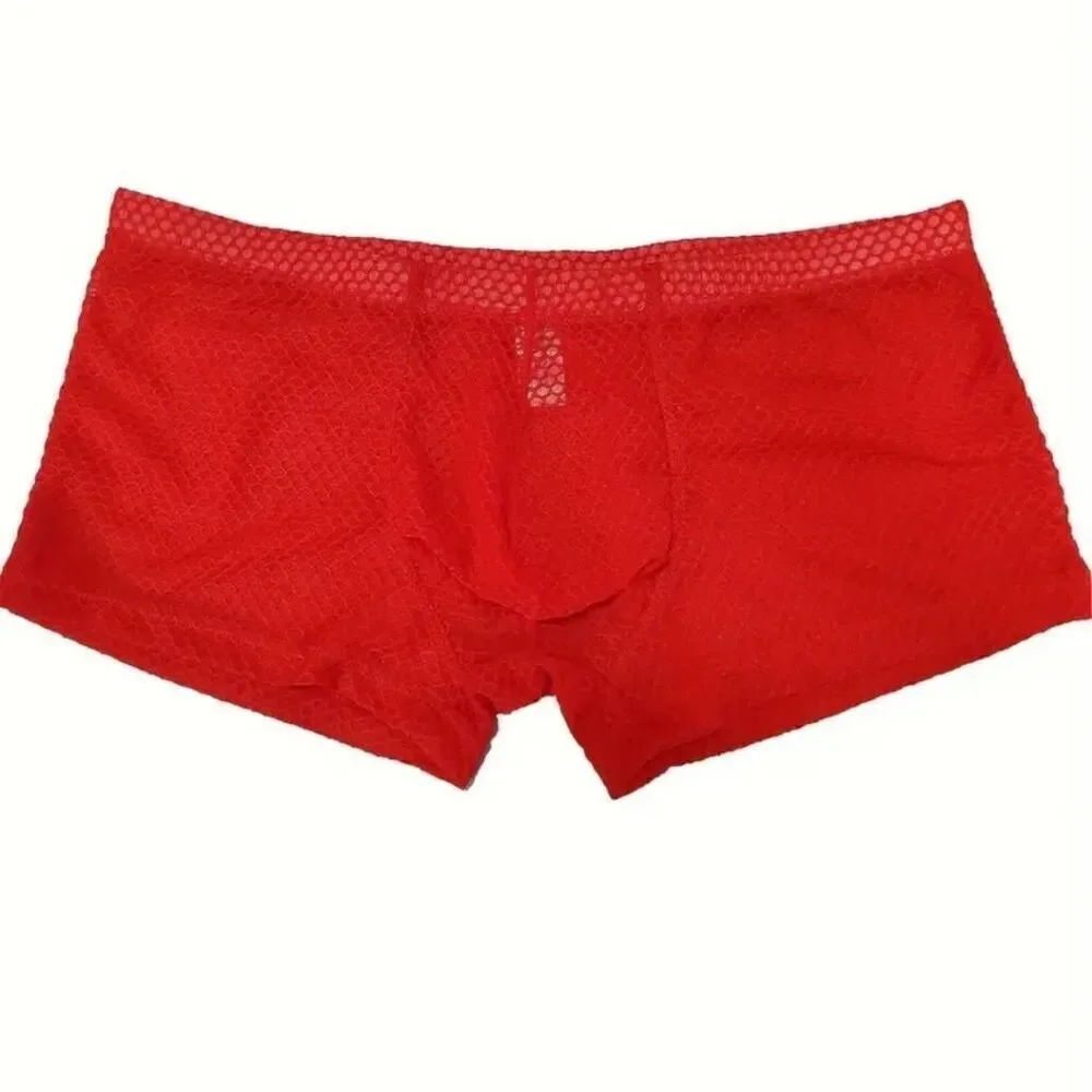 Mesh Red Mens Short Lingerie Brief Large -J